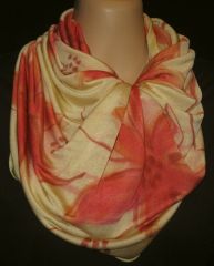 Click for larger image.